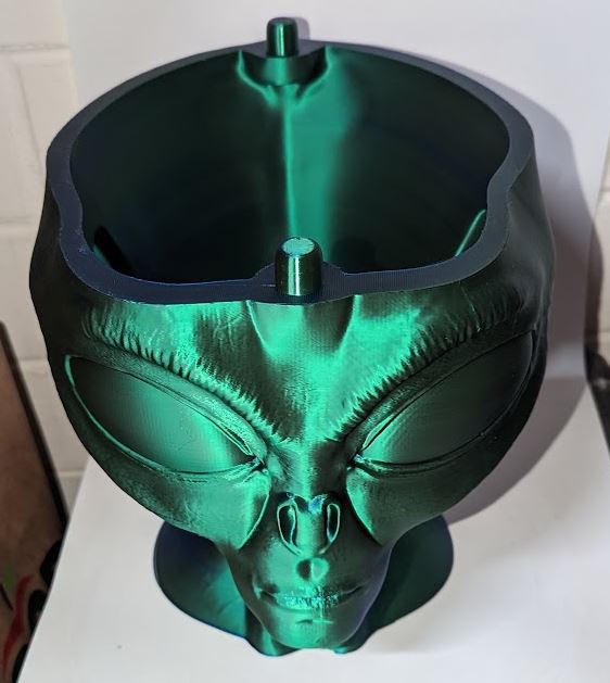 Alien Storage Skull